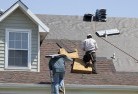 Tittybongskylights-2.jpg; ?>